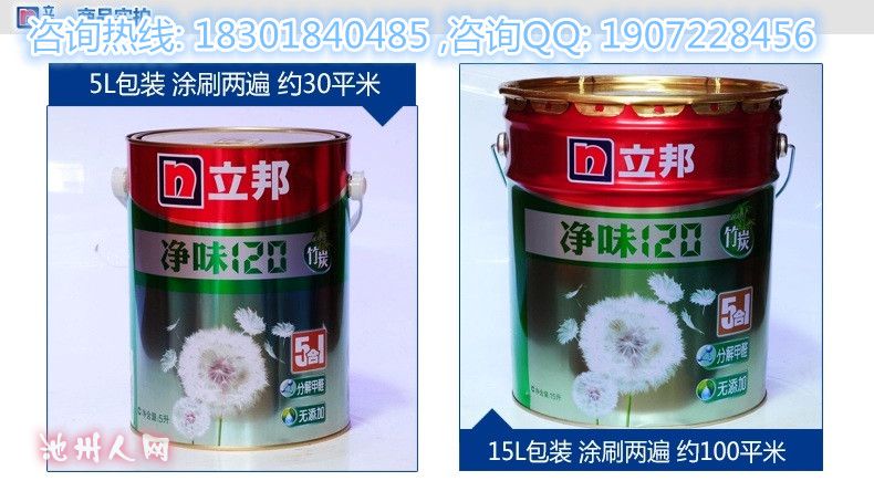 天津,立邦净味120五合一有几种包装?每种的价