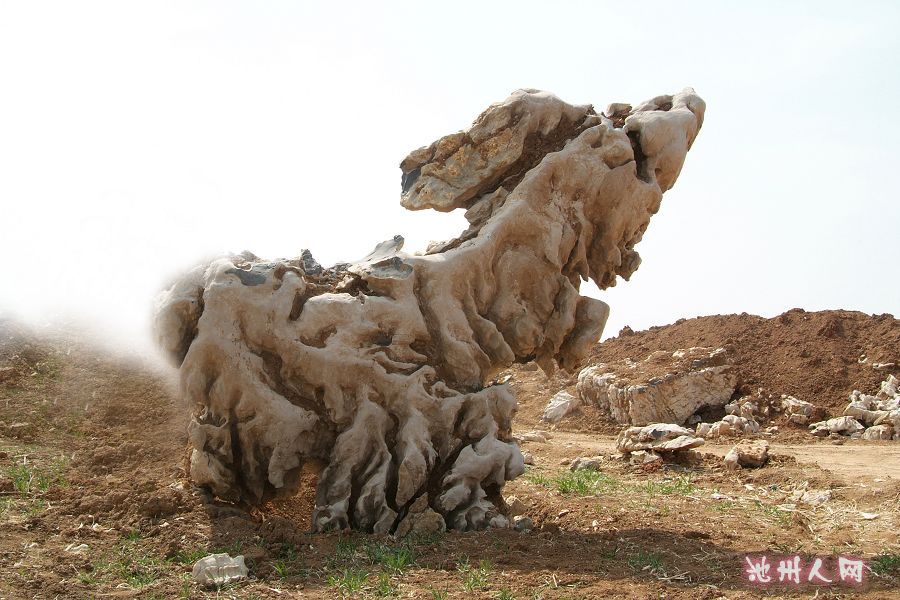 供应大型园林石,景观石,灵璧县渔沟镇 - 跳蚤市