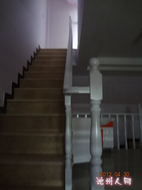 DSC00991.JPG