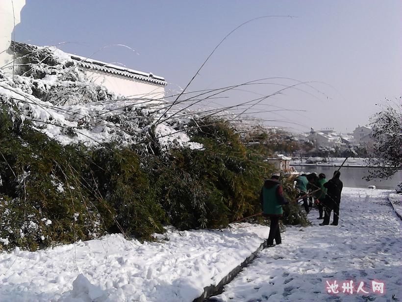 工人们在全力 清雪