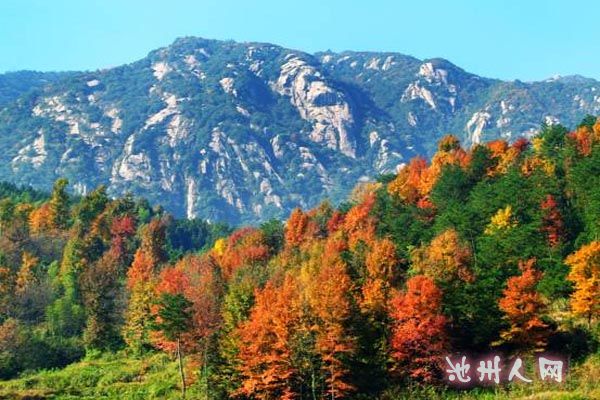 莲峰云海是九华山后山旅游带的重要接待景区,以4a级景区标准建设,倚山