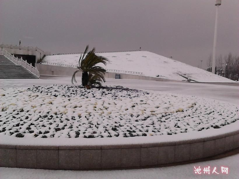 平  天  湖     莲  花  台