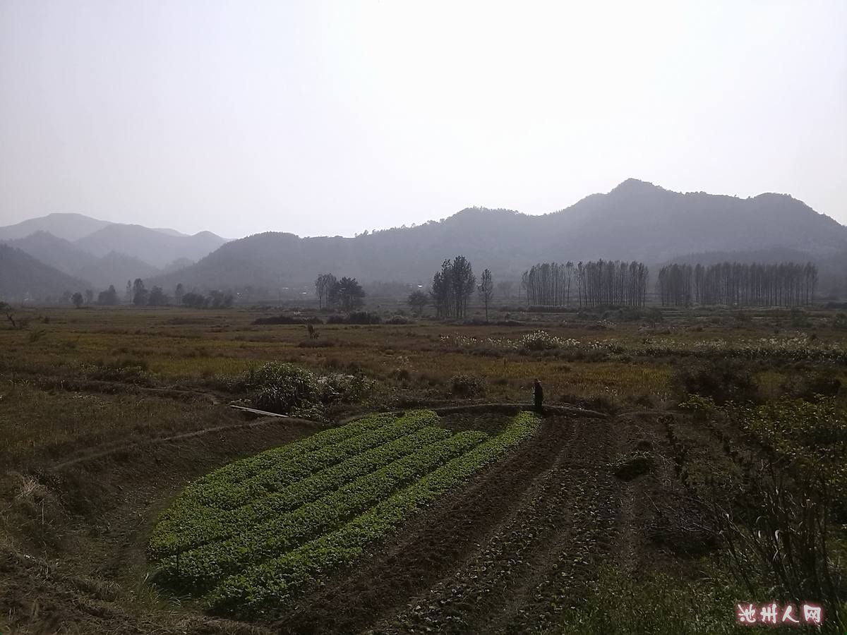 ֲ10.26-޳-侺֮