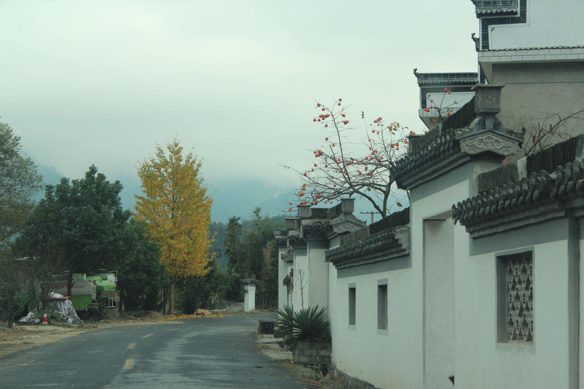 深秋黟县柯村行