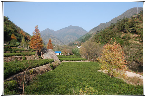 黄石矶秋景一组 - 美的印象 - 池州人论坛 - chizhou.