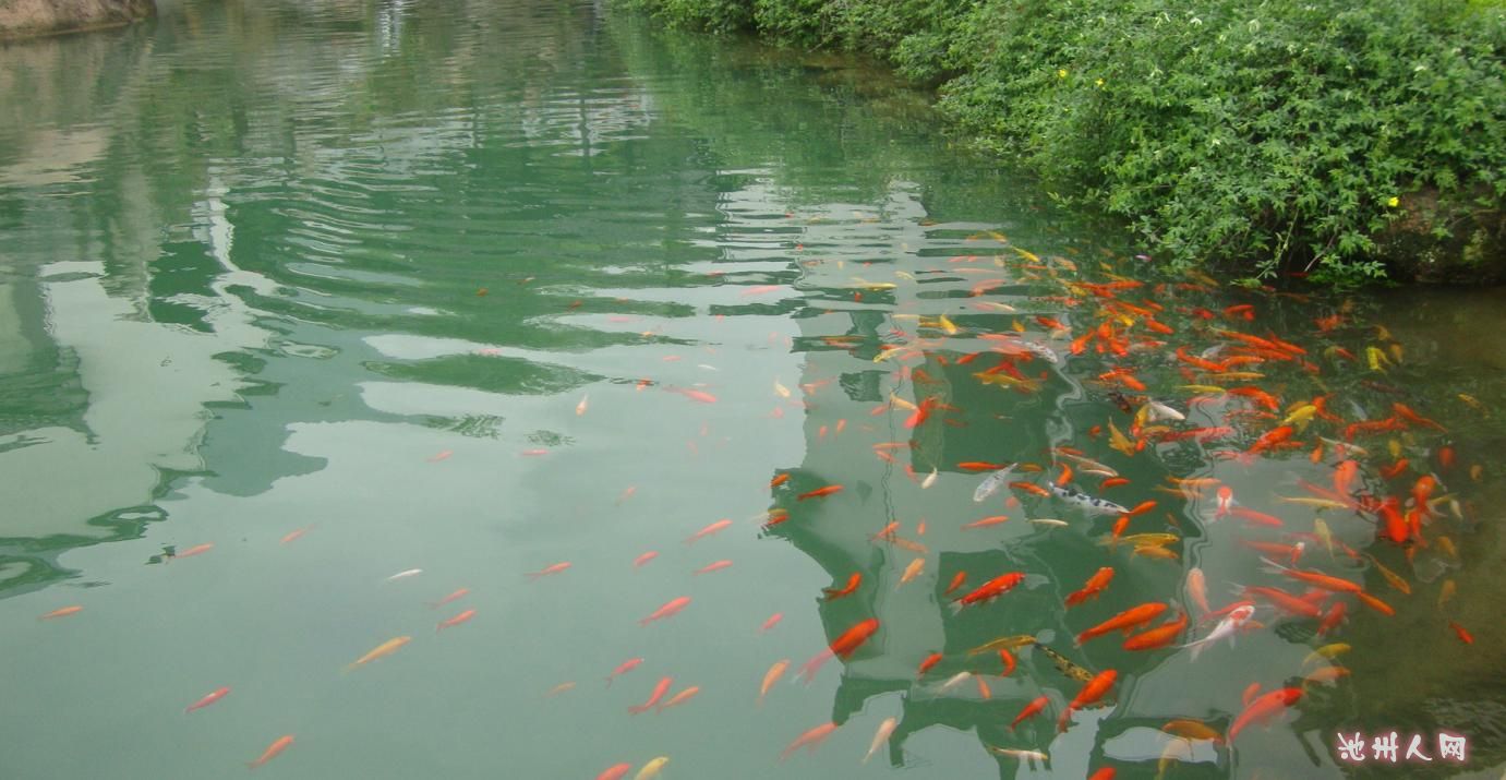 风生水起