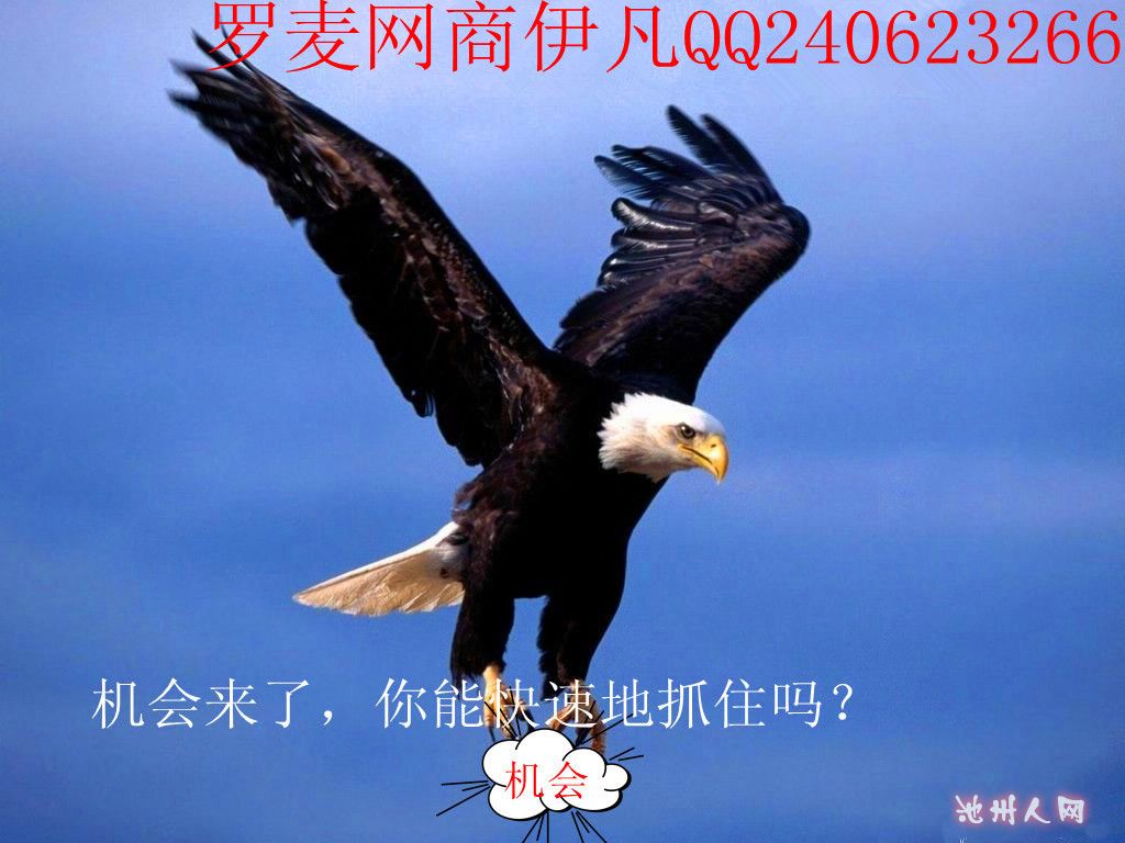 5e3a0b61a0fd4470081e5e7867e25856_副本.jpg