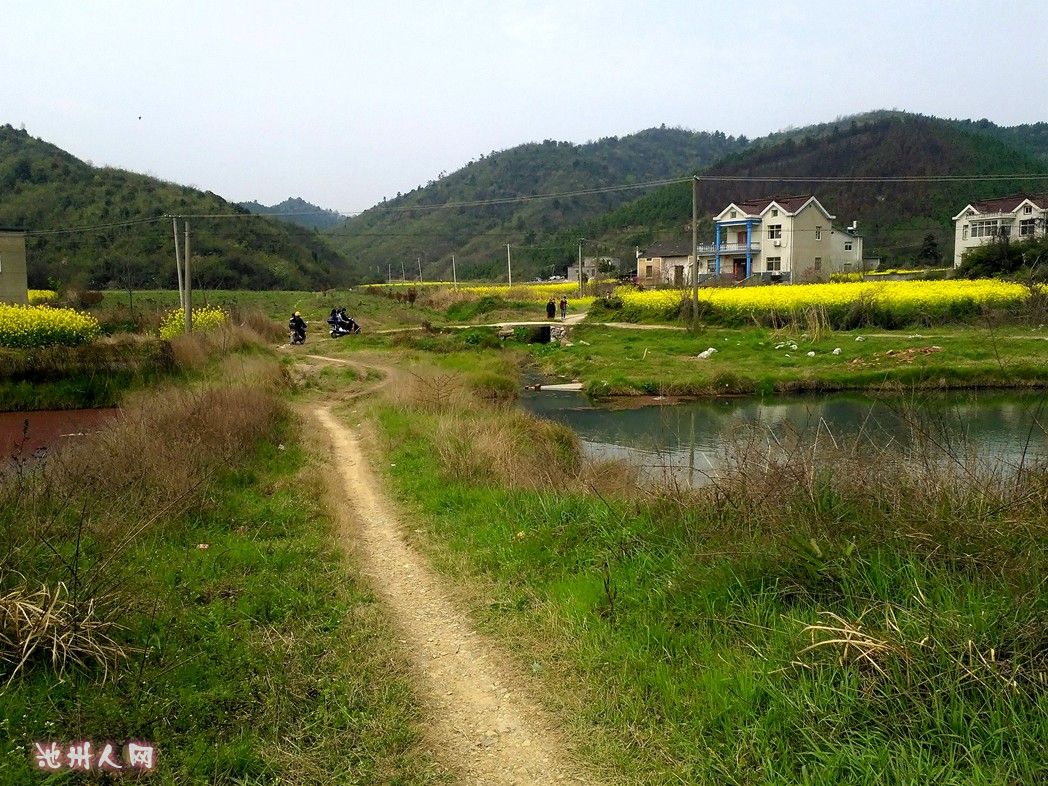 绿色清明,山村小景