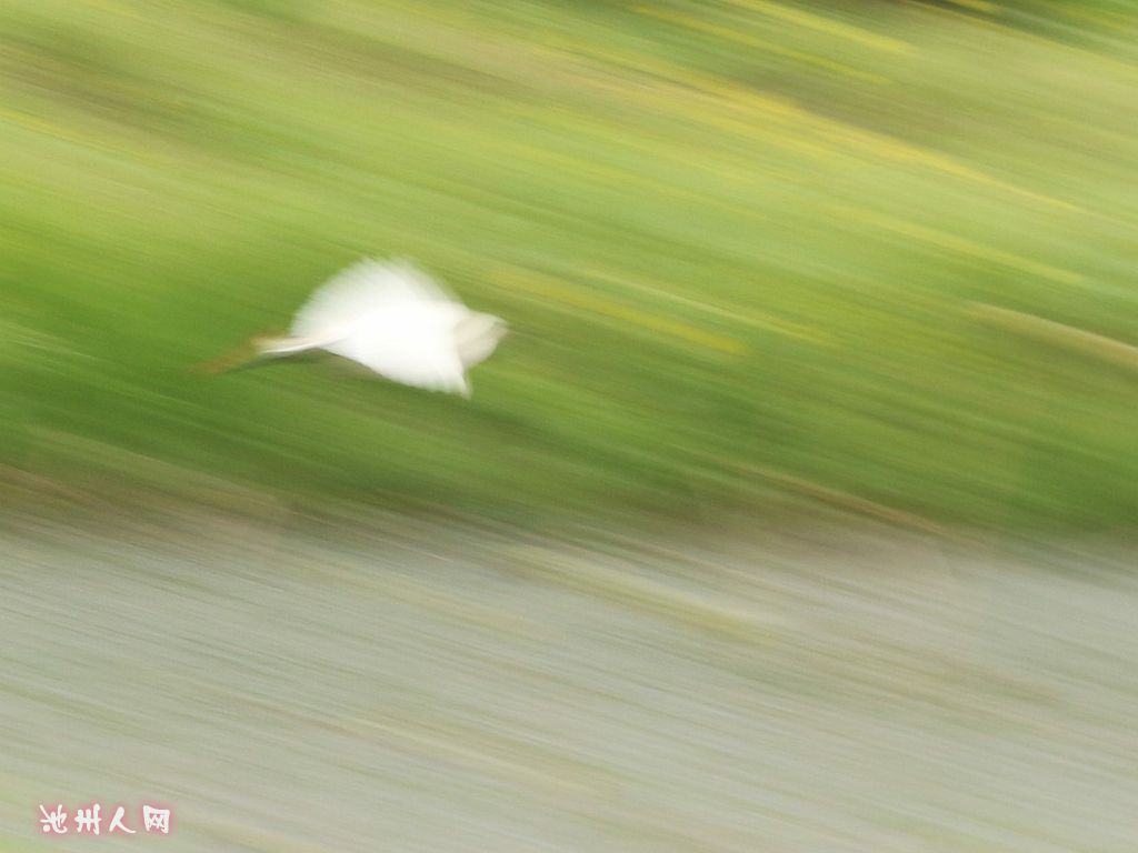 IMG_2461_副本.jpg