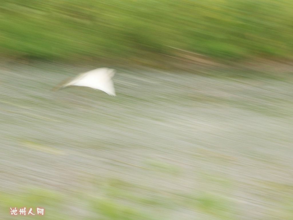 IMG_2463_副本.jpg