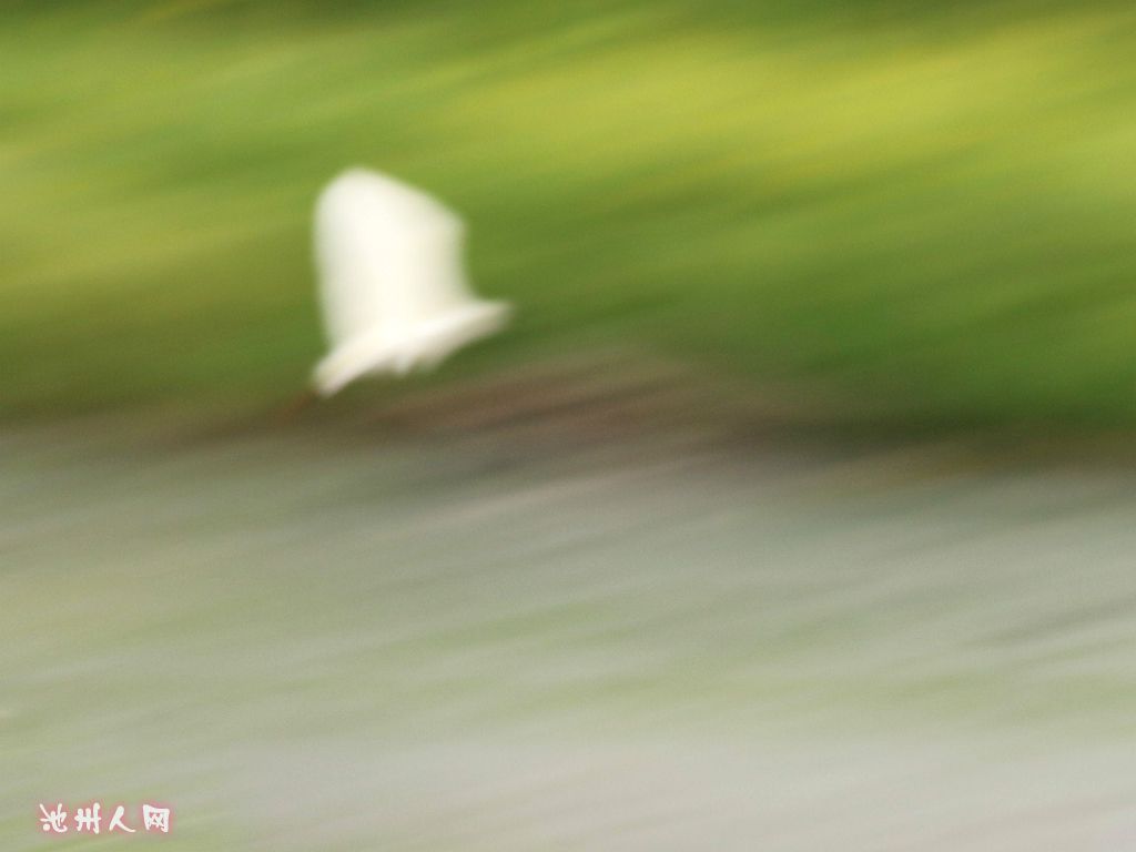 IMG_2464_副本.jpg