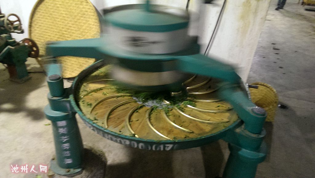 码字不易,拍照更难,求加分,求采用...(从下午6点根拍到凌晨,早上6点多还补拍) 喝过霄坑茶叶的人不少,但是完完全全见过茶叶从鲜叶到干茶的过程,没多少人见过,现在我为大家解说一下真正霄坑茶叶的制作过程,(为了拍这次茶叶的制作过程,我等到凌晨才睡觉) 下午我家茶工采茶回家,杀青前挑捡鲜叶