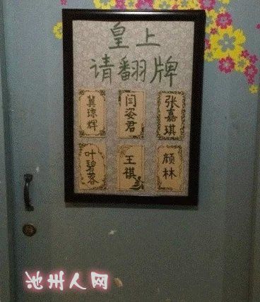 【皇上,请翻牌】