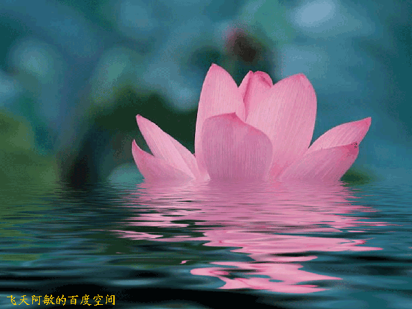 残,没有牡丹的雍容华贵,也没有梅花的铁骨铮铮,既没有水仙的玲珑清秀