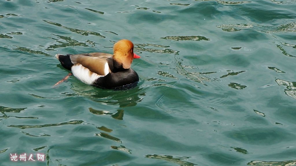 DSC00892_副本.jpg