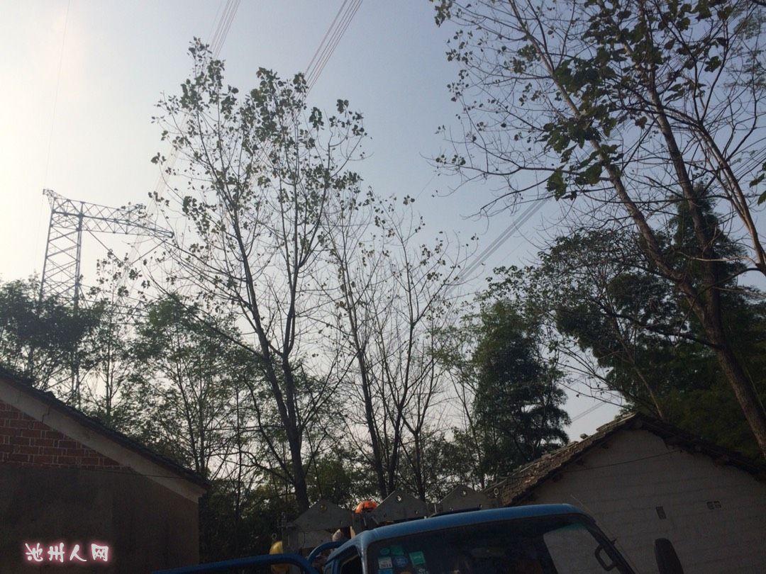 老百姓有苦,该去哪里诉苦 - 池州民声 - 池州人论