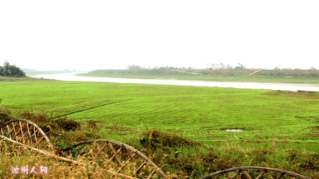 秋 浦 河 畔