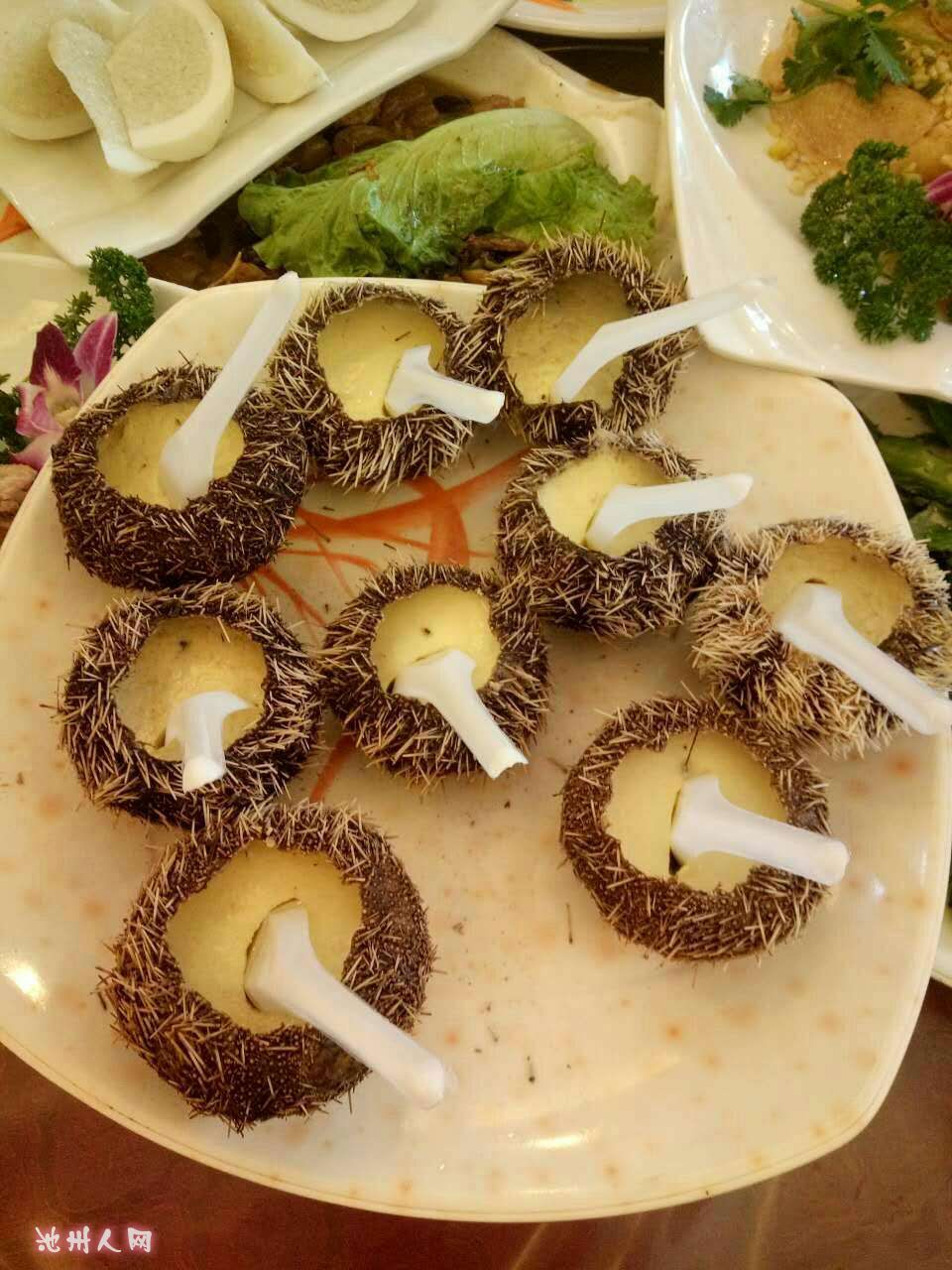 海南海鲜大餐名称_法式海鲜大餐_海南海鲜大餐(2)