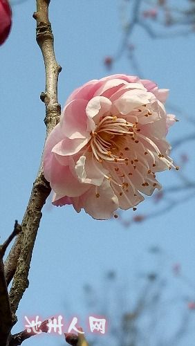 IMG20170131122216.jpg