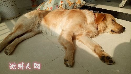 IMG20170206113817.jpg