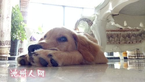 IMG20160709101748.jpg