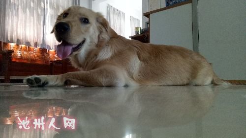 IMG20160815111838.jpg