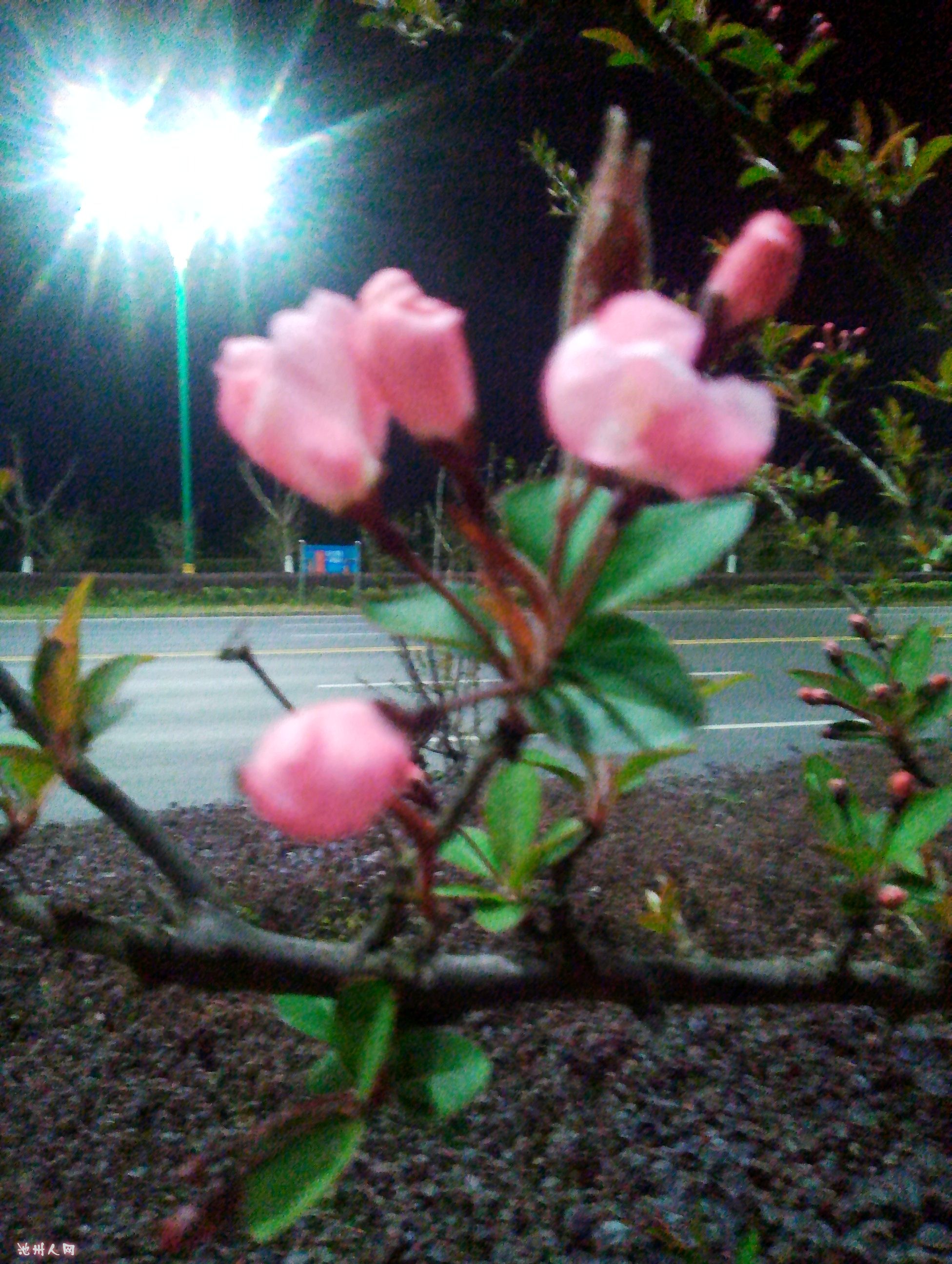 IMG_20170311_191130.jpg
