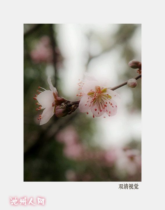 IMG_1765_副本.JPG