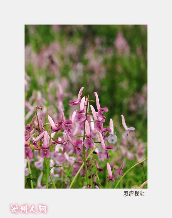 IMG_1702_副本.JPG
