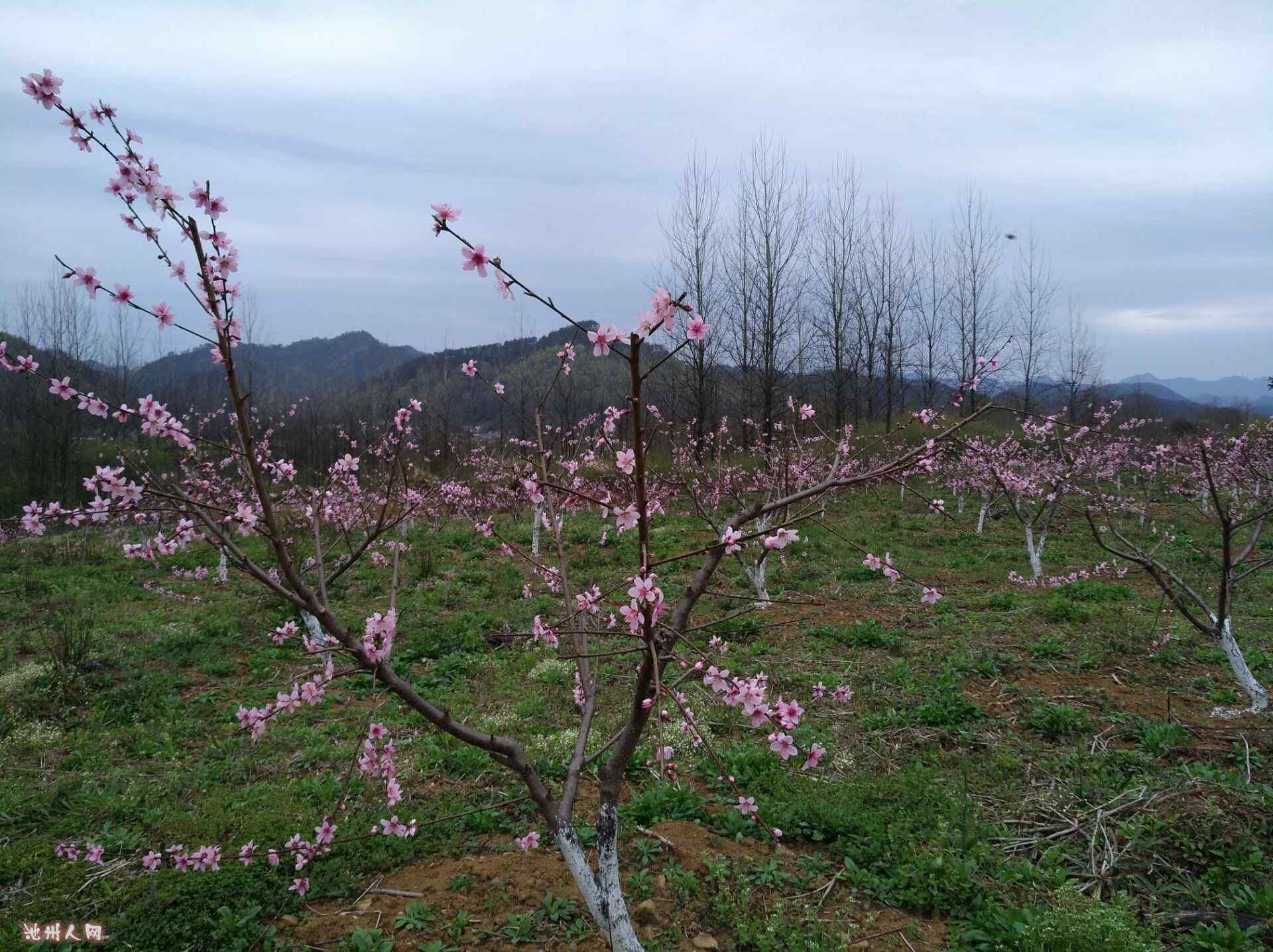 QQ图片20170328172737.jpg