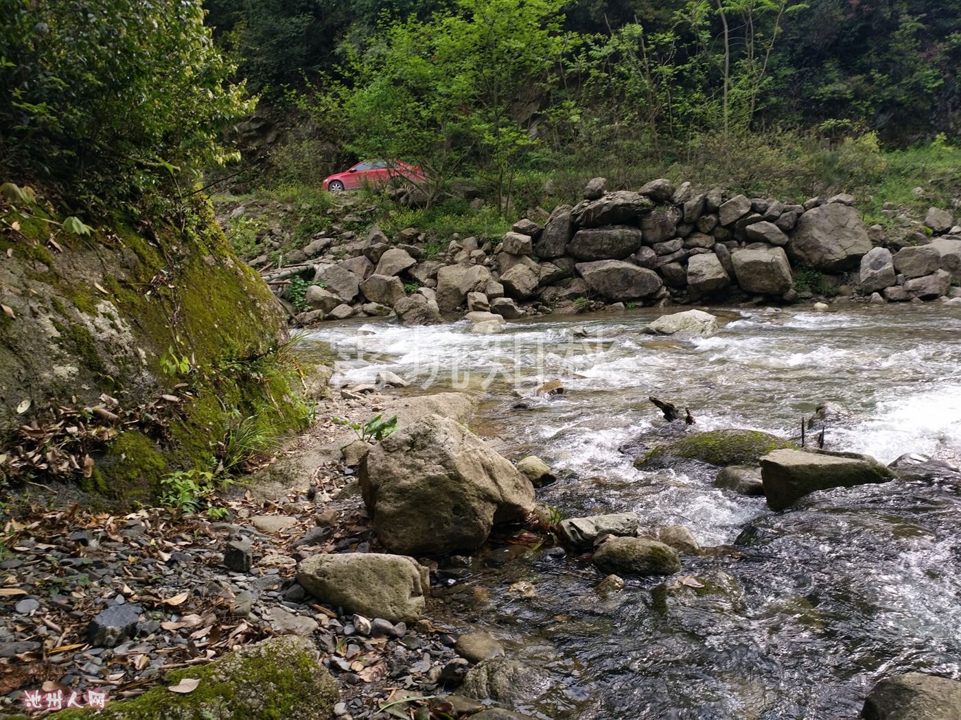 IMG_20170417_154644.jpg