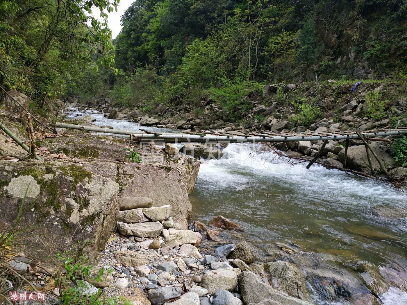 IMG_20170417_154654.jpg