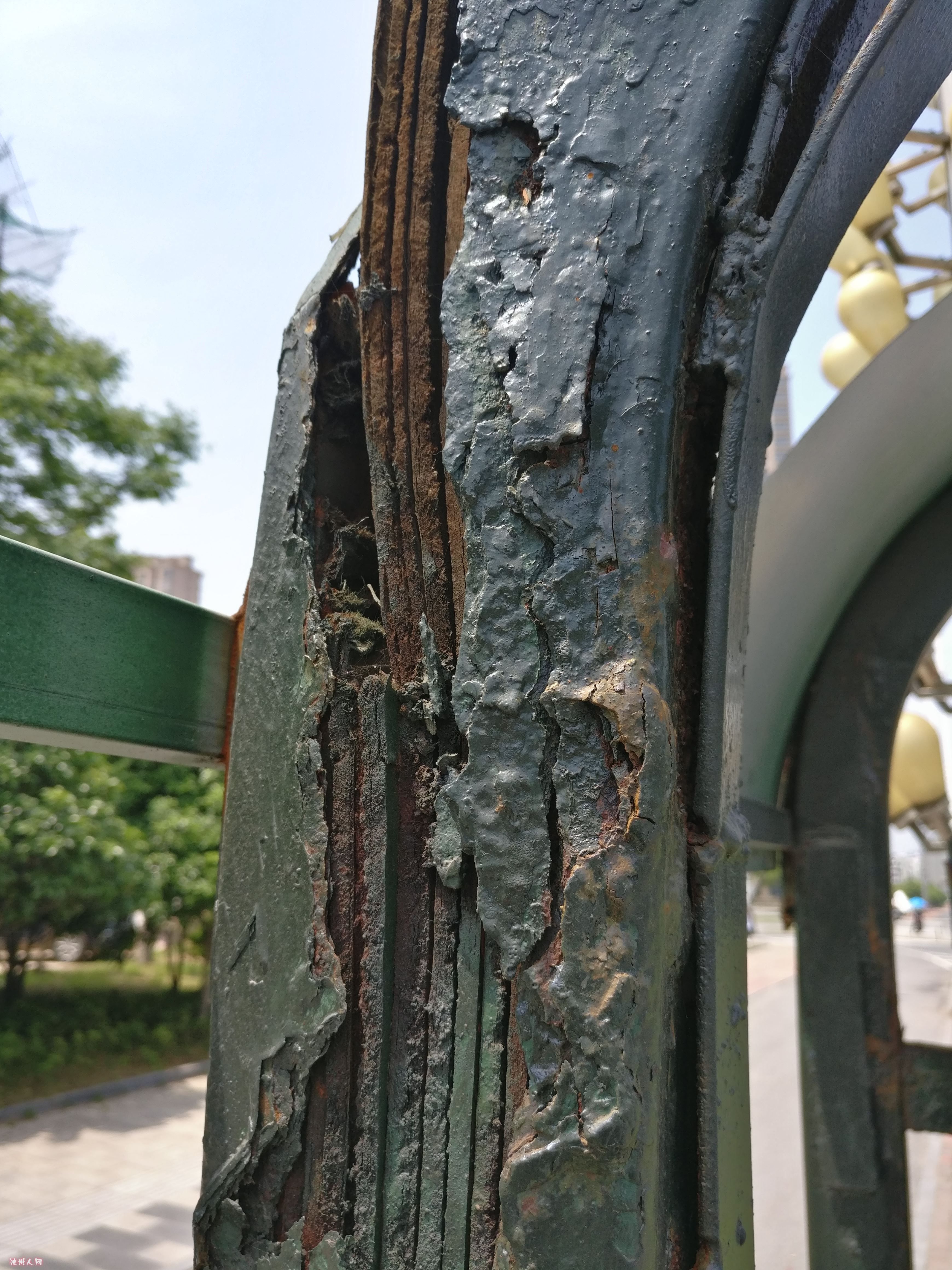 IMG_20170422_121624_副本.jpg