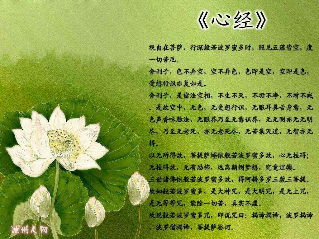 1495088766716.jpg