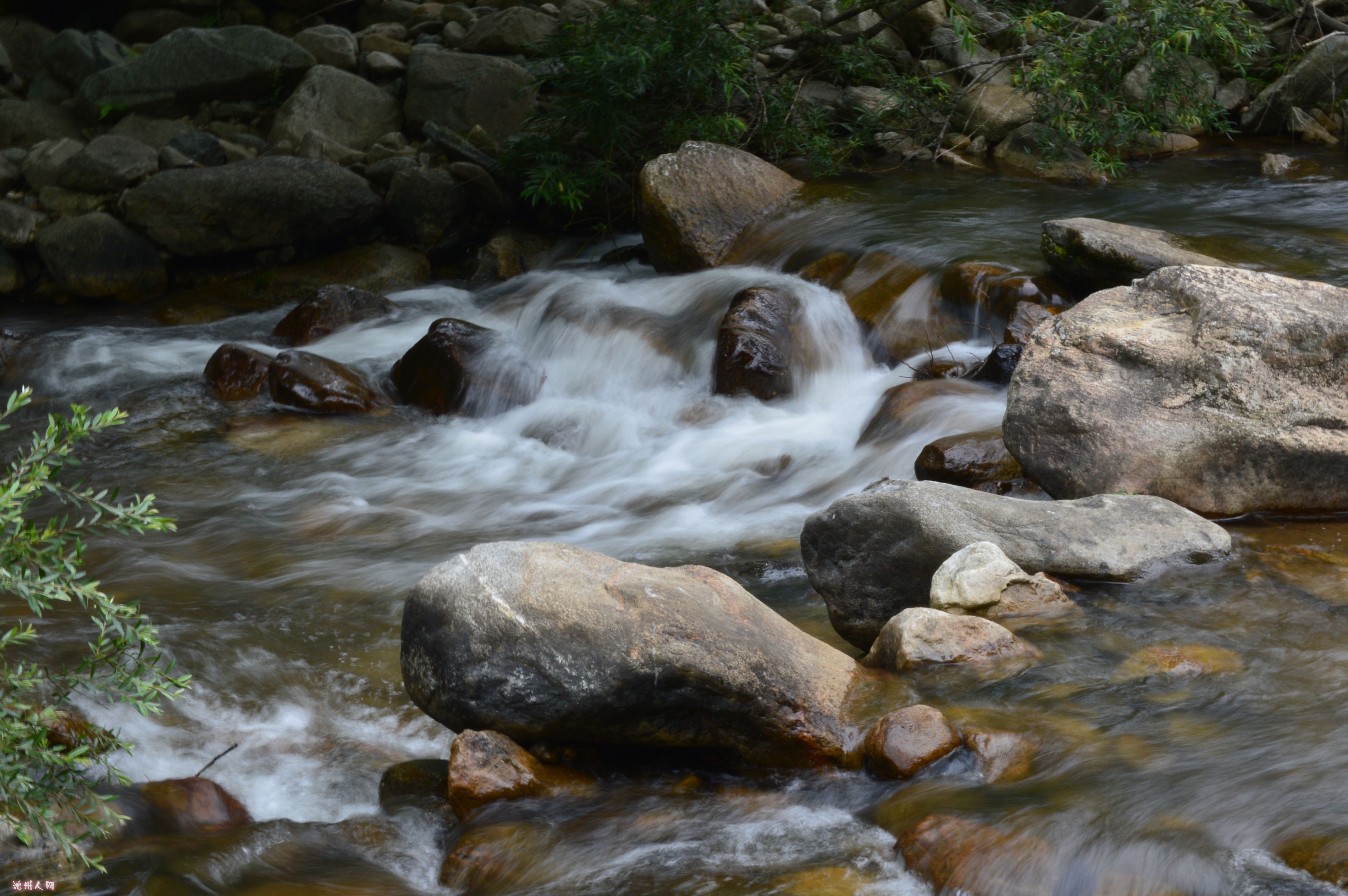 DSC_1505.jpg