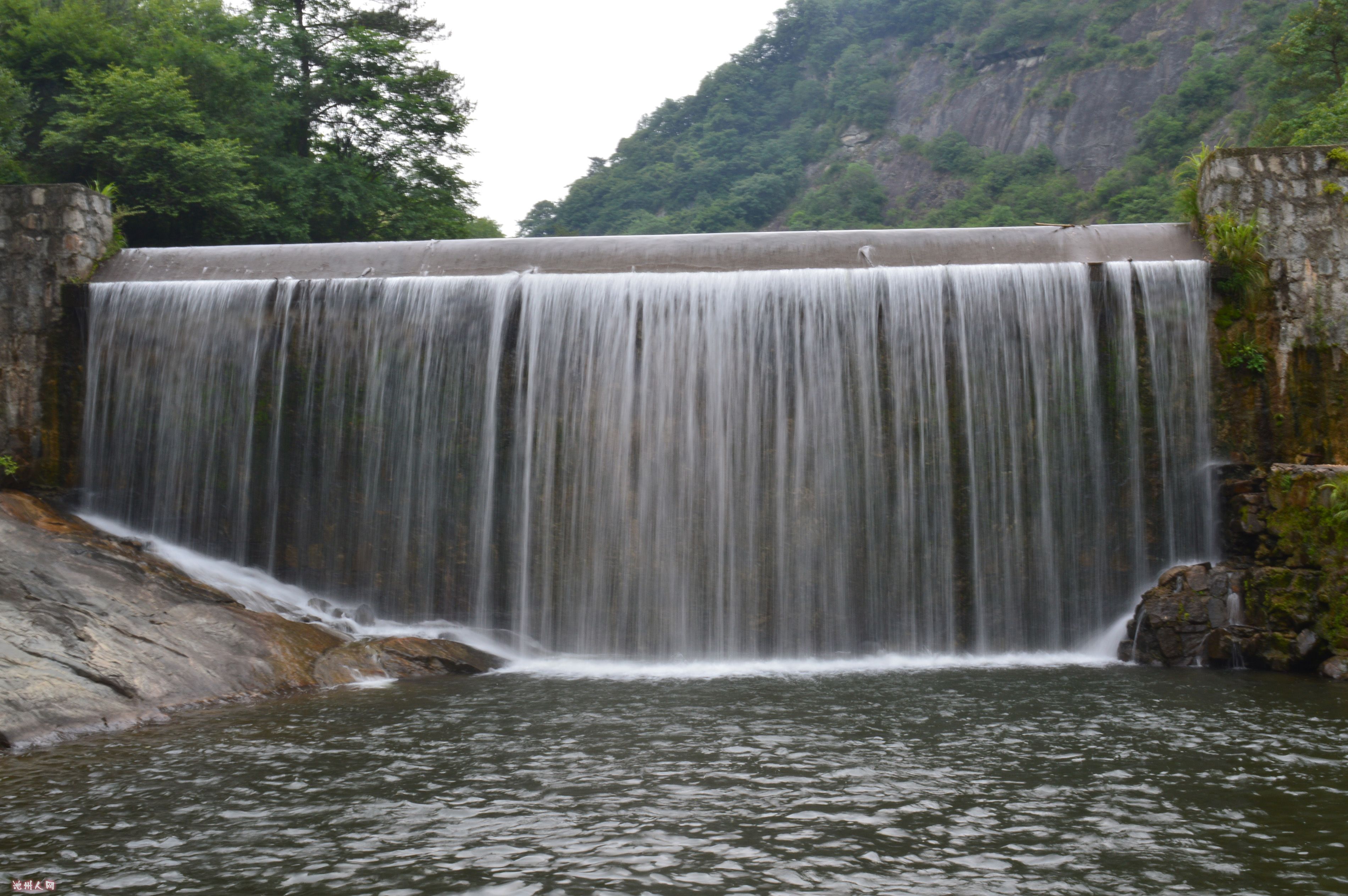 DSC_1511.jpg