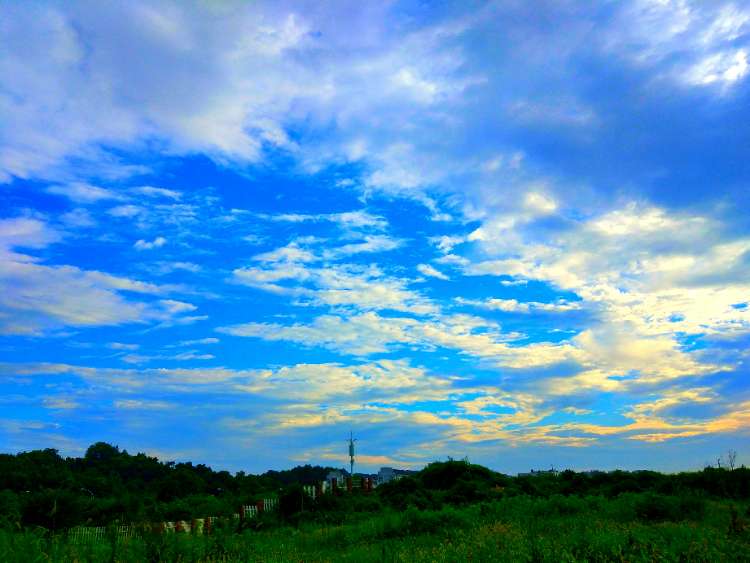 20170711_235798_1499777720857.jpg