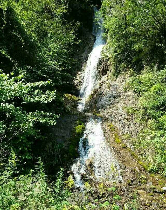 20170722_239231_1500675069215.jpg