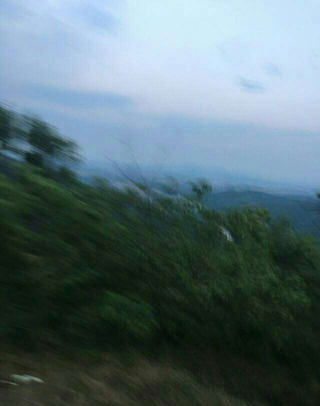 20170722_239231_1500675069932.jpg