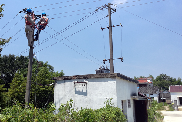 7月24日，贵池供电公司涓桥供电所员工消缺更换乐岭白树台区过载出线电缆。（唐小清 摄.png
