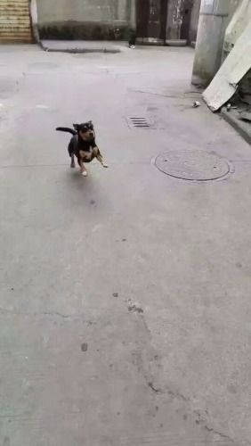 1506094577276.jpeg