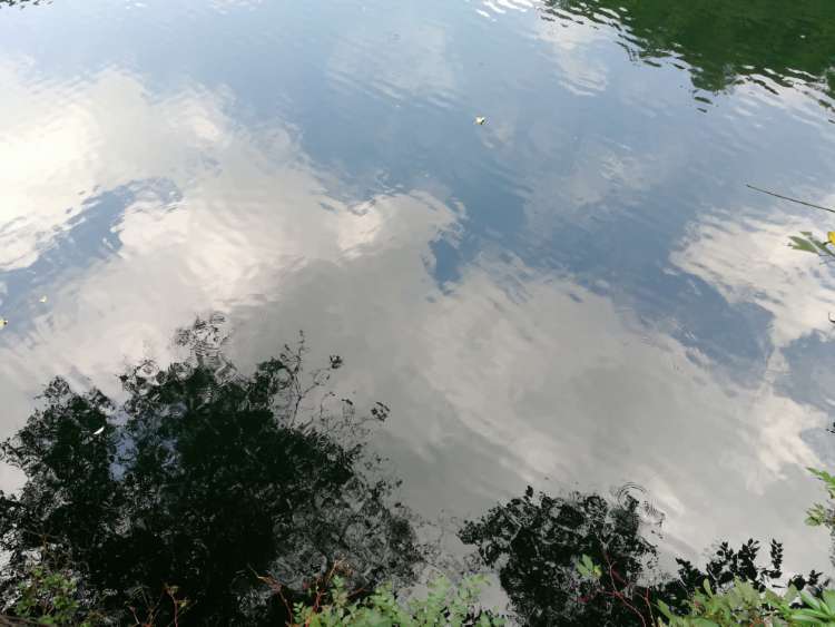 20171001_254330_1506869711478.jpg