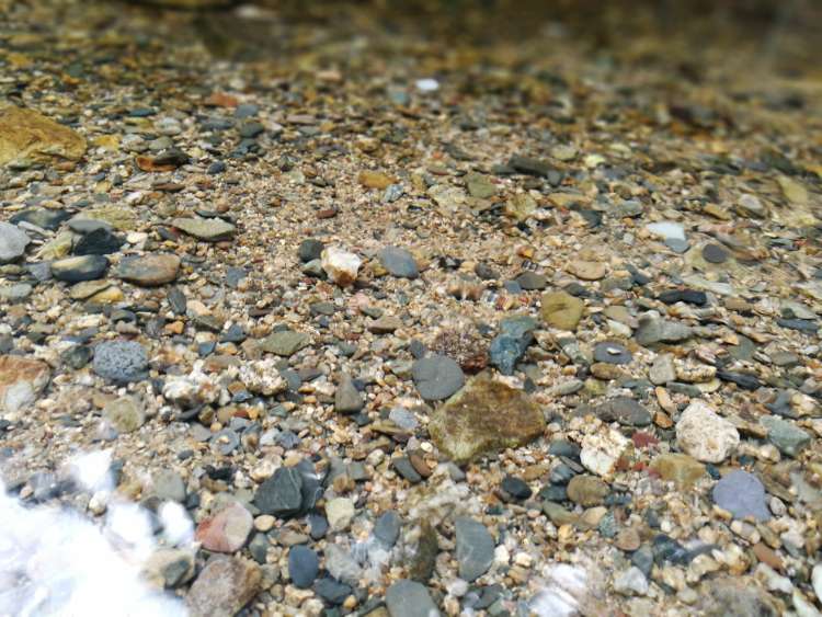 20171001_254330_1506869710823.jpg