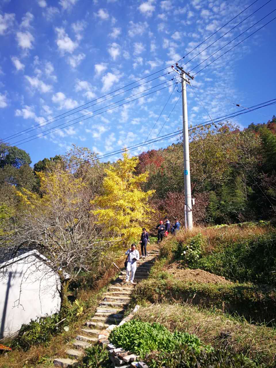 石台七井画坑