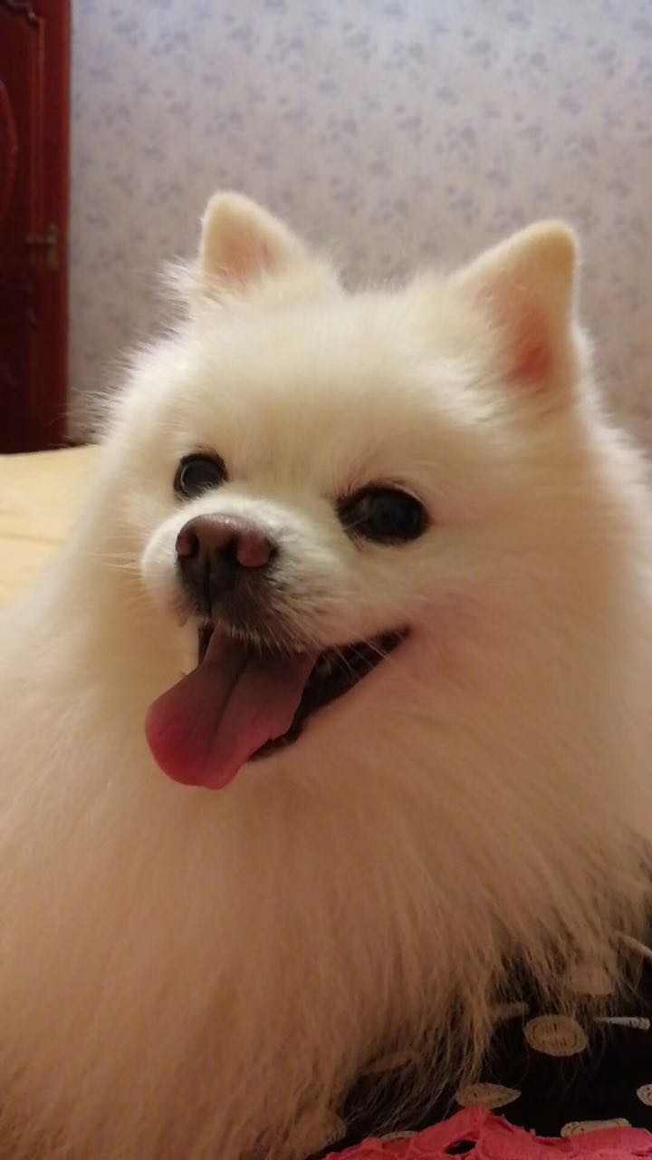 微信图片_20171109105127.jpg