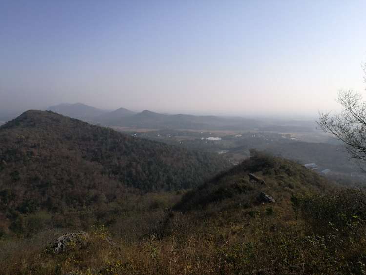桐梓晴岚 地点:桐城市孔城镇