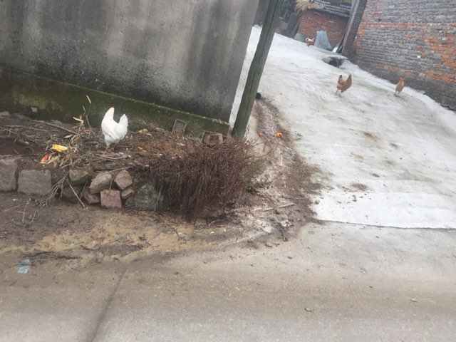 201712022414531512190755084622.jpg