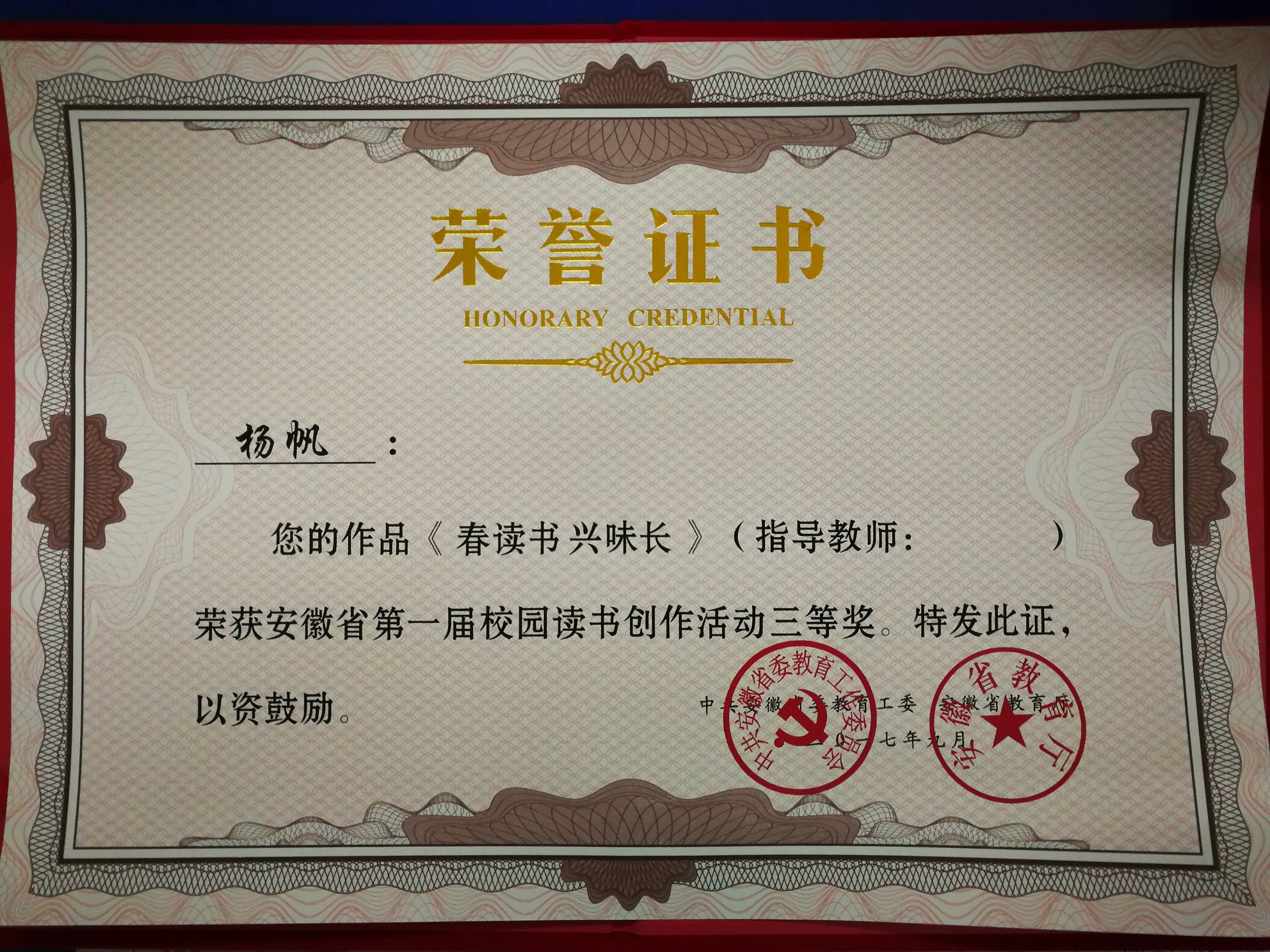 1杨帆.jpg