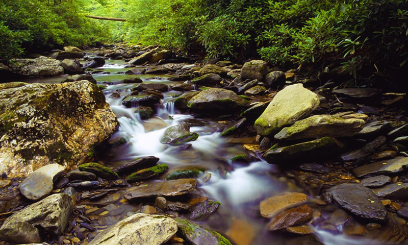 Stream-Along-Alum-Caves-Bluff-Trail-Great-Smoky-Mountains-National-Park-Tennessee.jpg