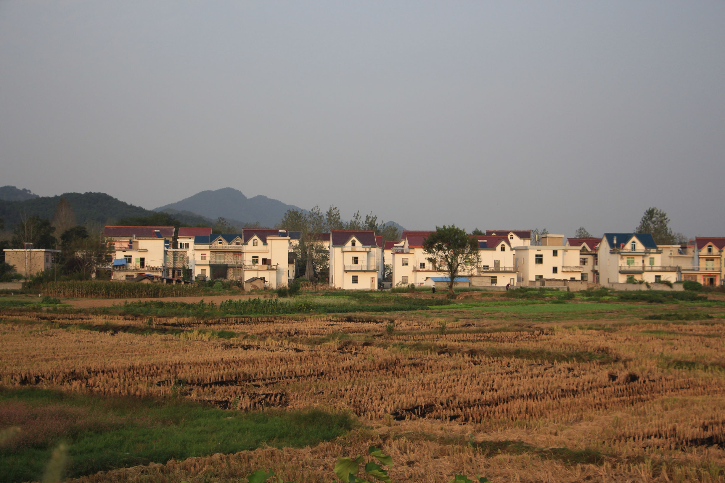 15年时间 让池州这个小村变成"空村" - 池州民生 - 人